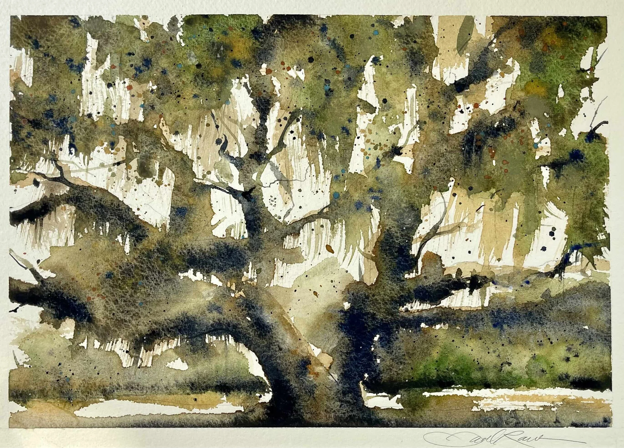 Mississippi Live Oak