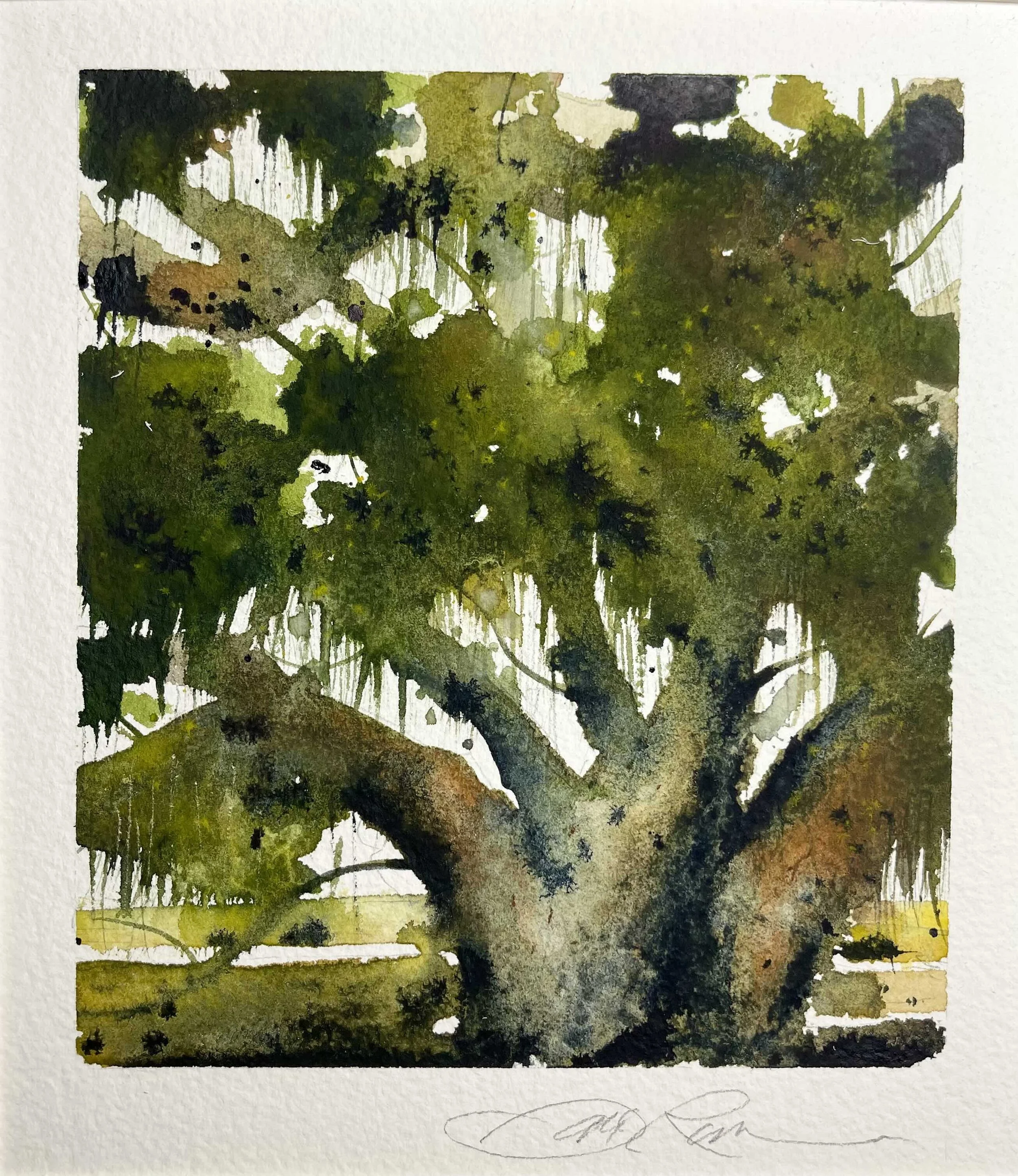 Ocean Springs Inspiration