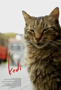 Kedi - Hilo Palace Theater Movie