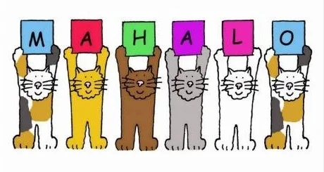 Mahalo for remembering the Kitty Cats during this Christmas with your wonderful donations. May 2019 bring many blessings. Aloha