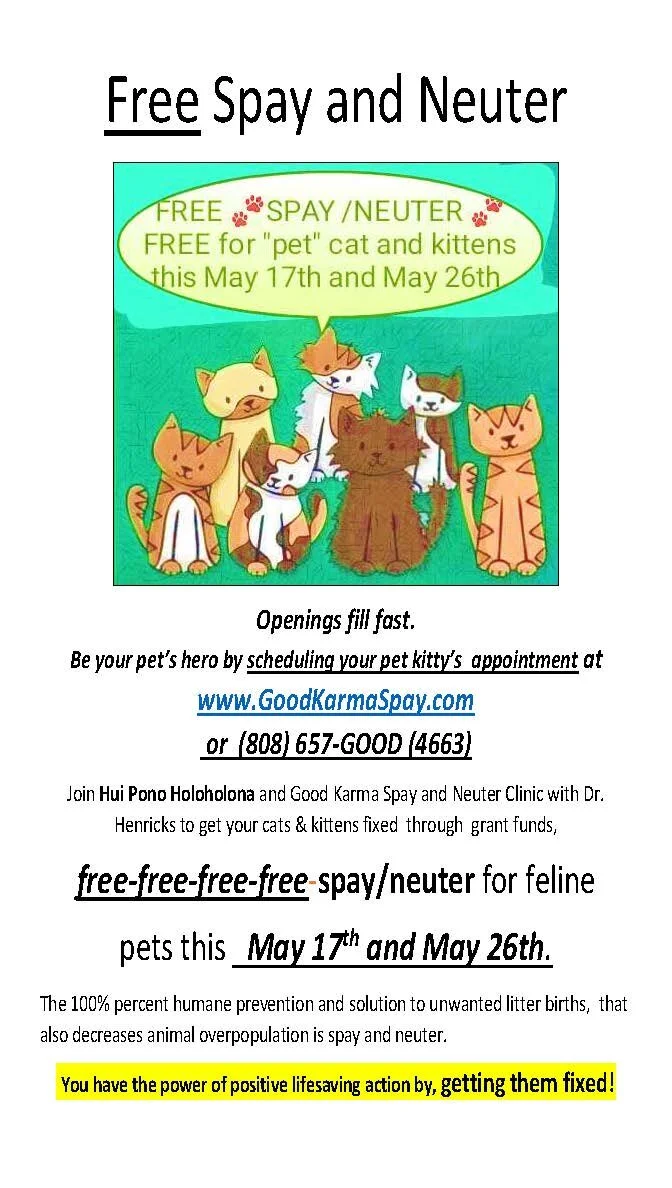 Free Pet Cat Spay/Neuter 