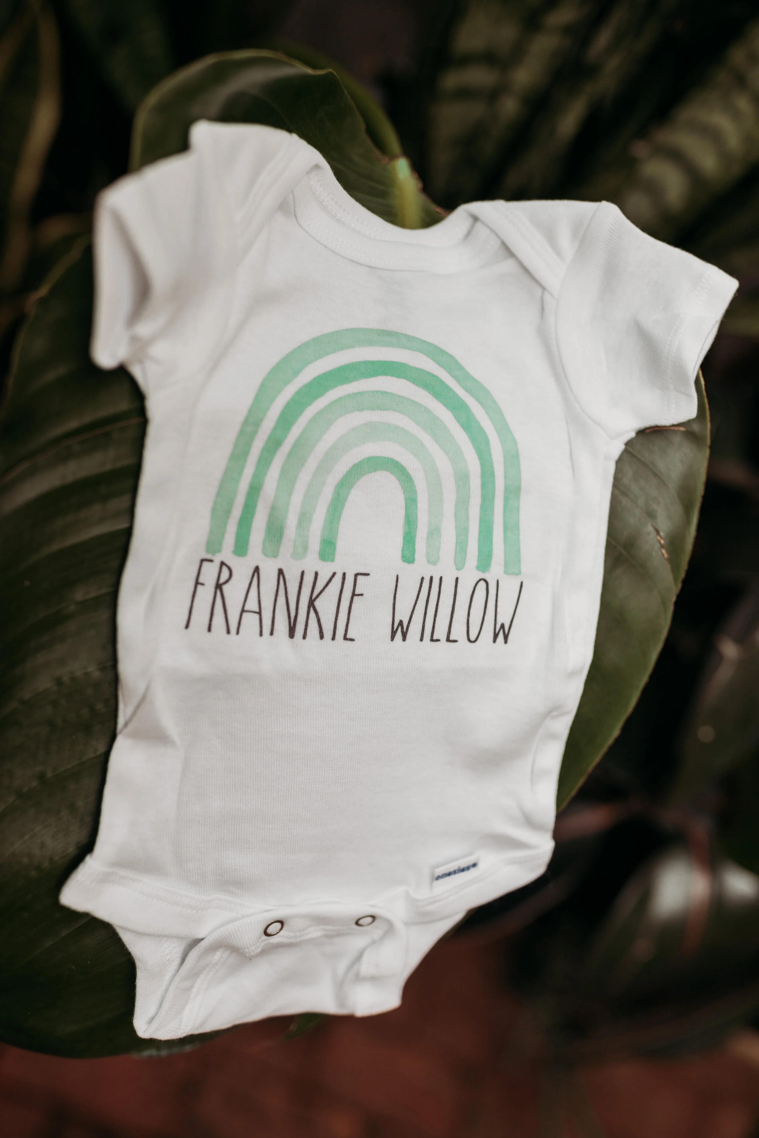 The Story Behind Frankie's Name