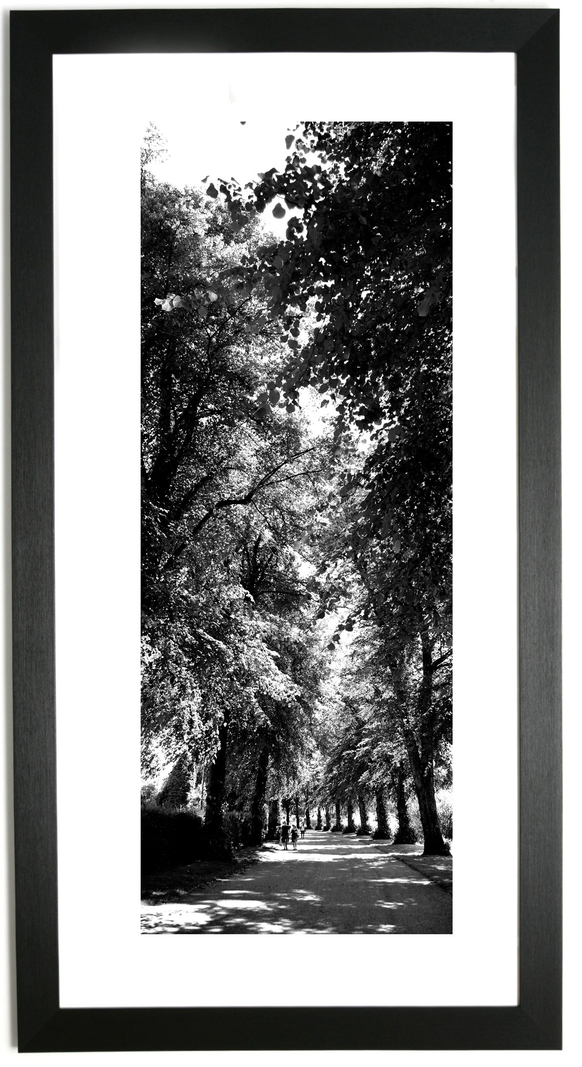 Framed prints of Shrewsbury. Shrewsbury Vertical. Trees along Severn.