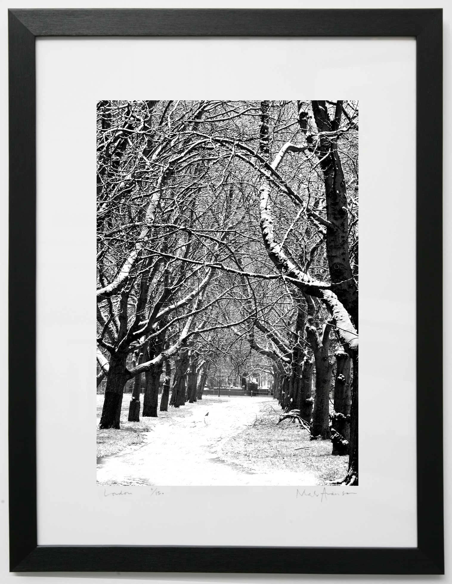 Black and white print Clapham Common Trees winter, London