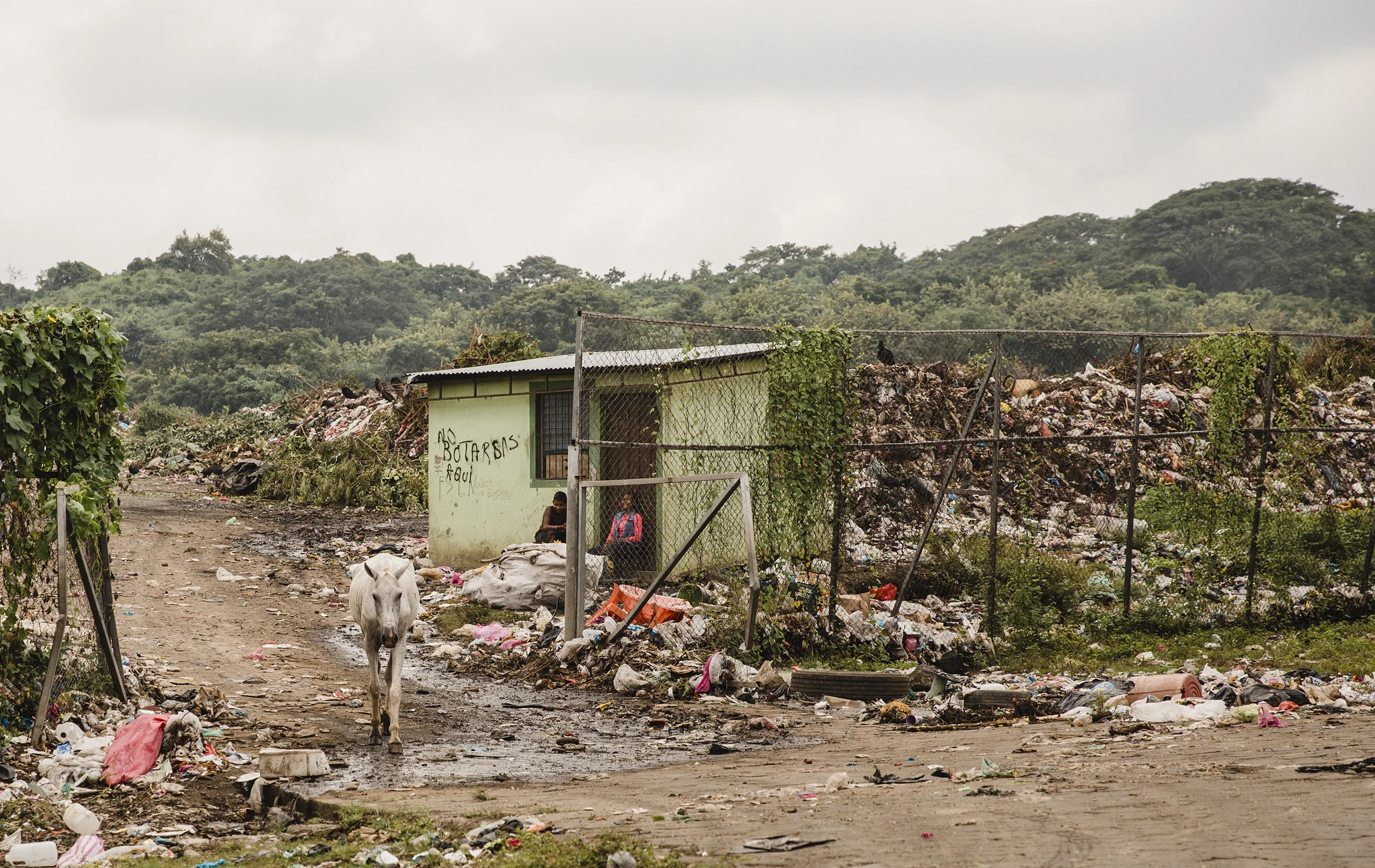 trash dump cropped RESIZED.jpg
