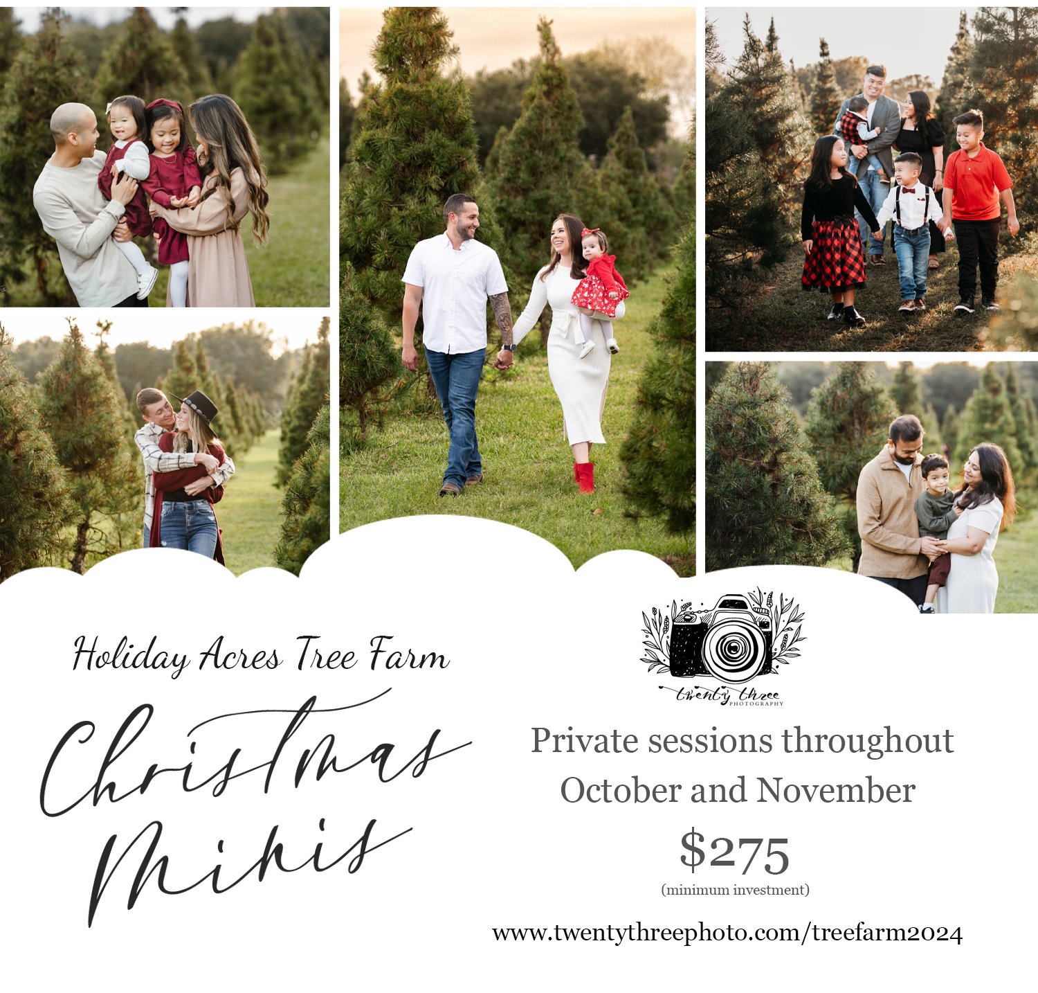    Book a session with twenty three photography   