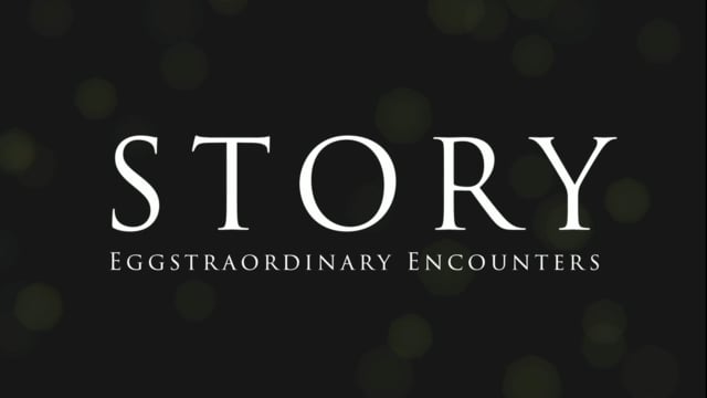 Story: Eggstraordinary Encounters (Copy)