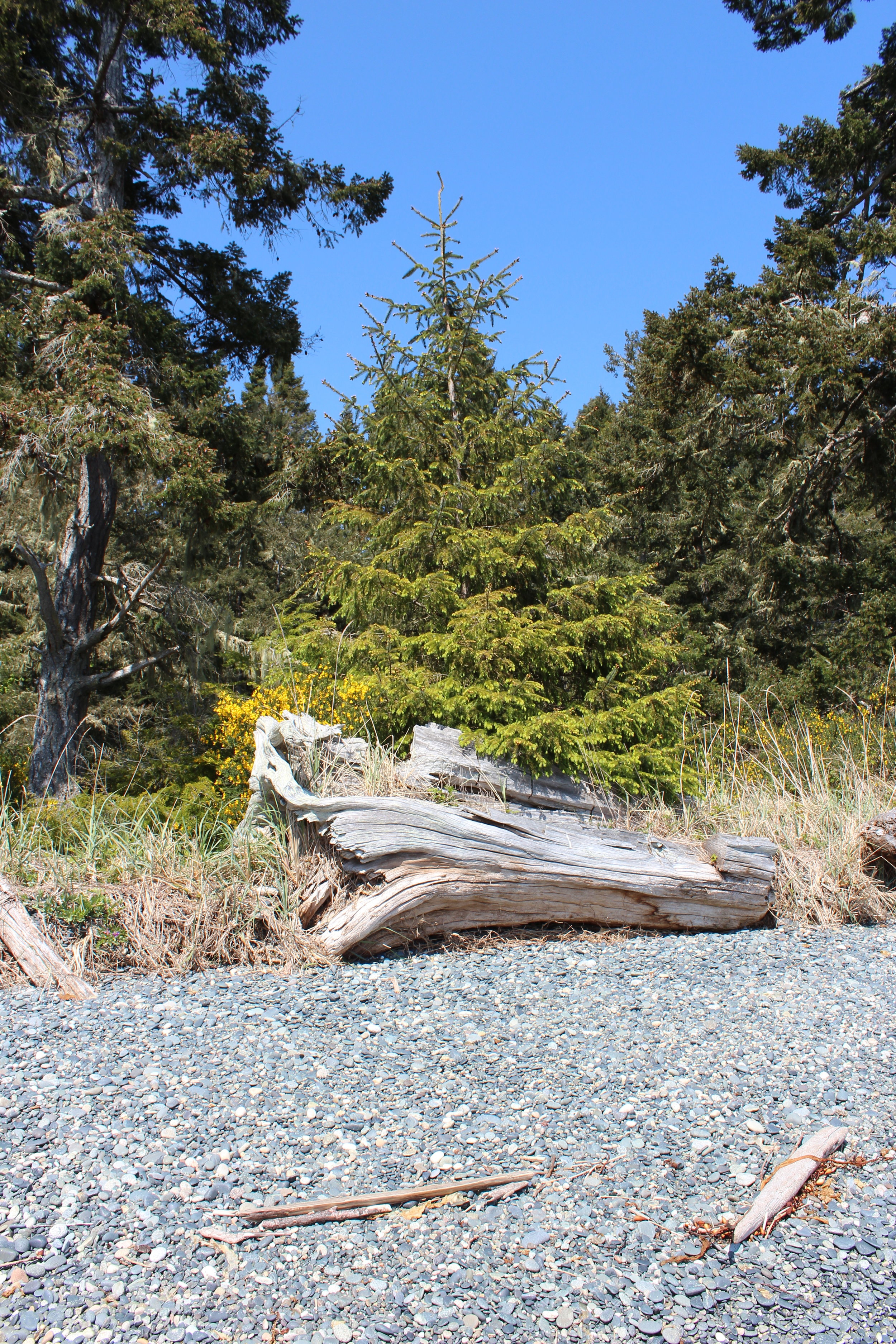 josh-harvey-sooke-beach-house-view .jpg