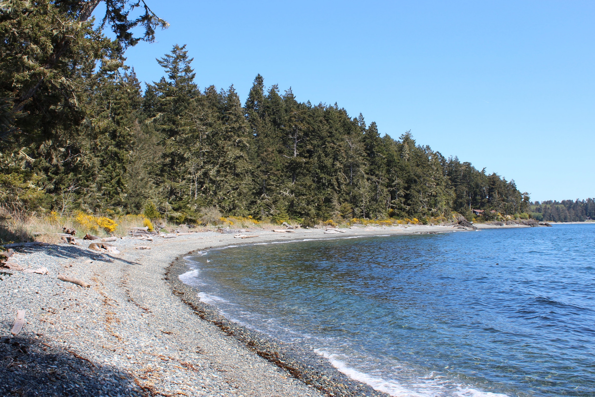 josh-harvey-sooke-beach-house-view .jpg