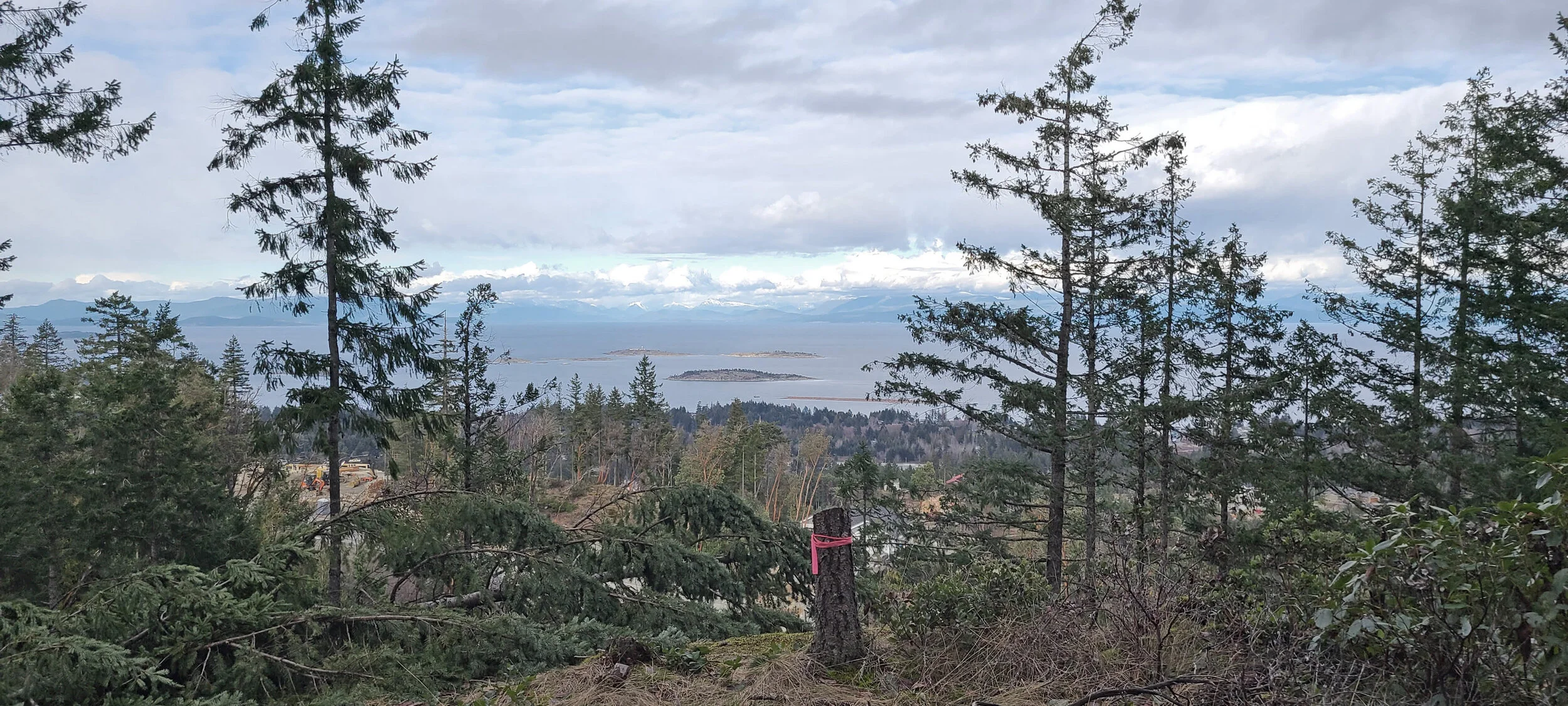 Josh_Harvey_Nanaimo_House_View.jpg