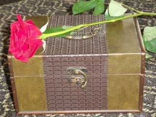 17652613-DSC00082.JPG