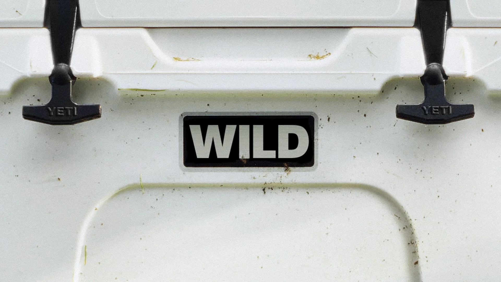 WILD_Badge_PR-16x9 (1).jpg