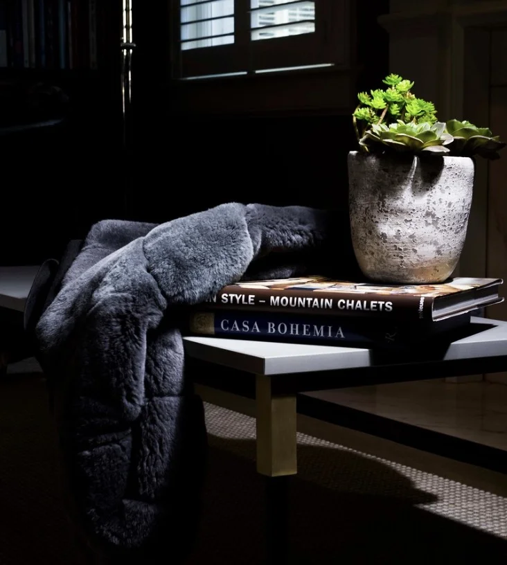 Olga Skorik Interior Fur and Books