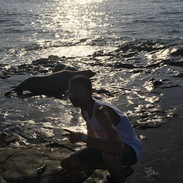 Me n the sea lions making 🌊
&bull;
&bull;
&bull;
&bull;
#hysteric #rap #music #follow #california #sealion #animals