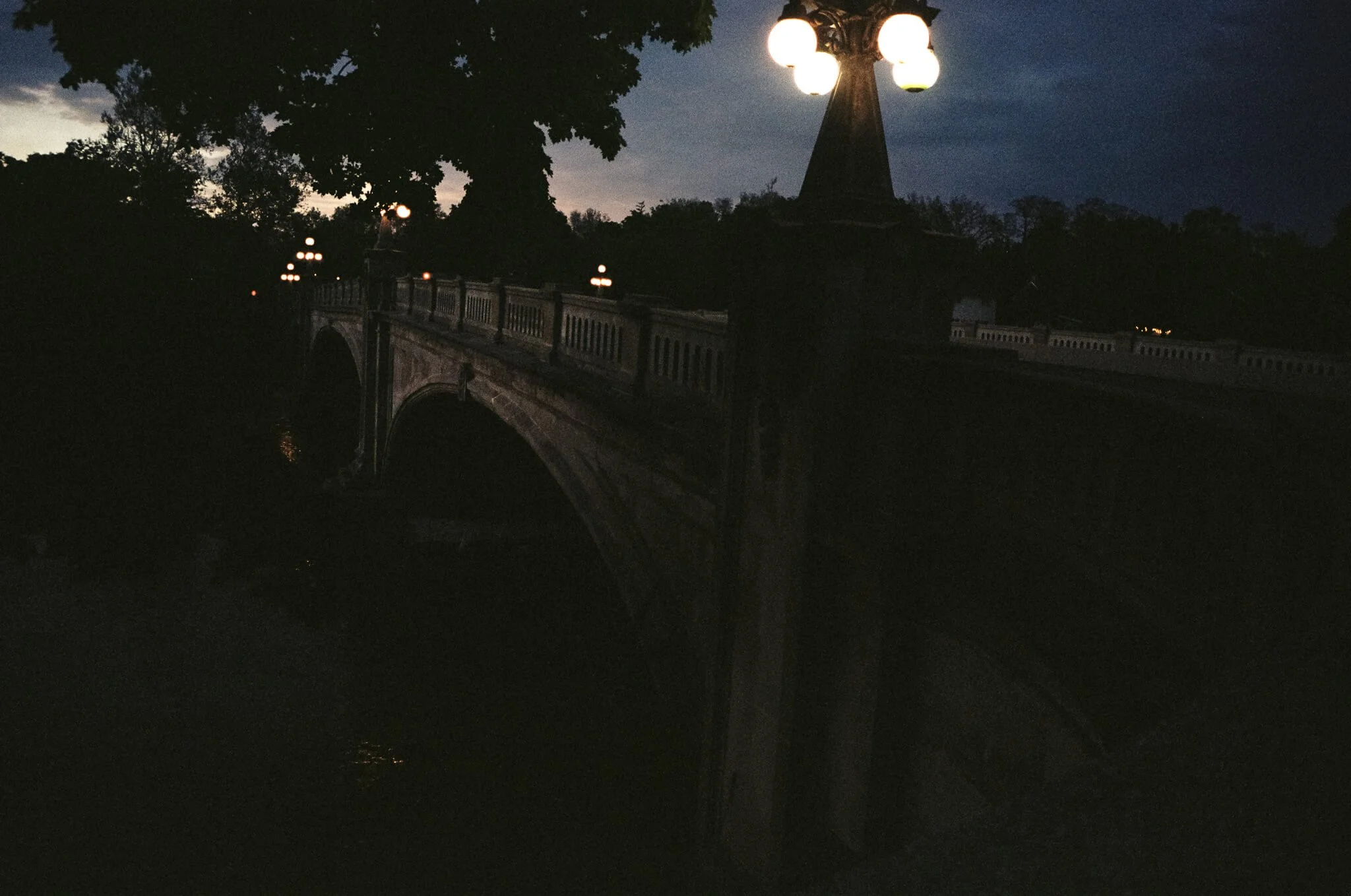 Titus-Summer-111.jpg