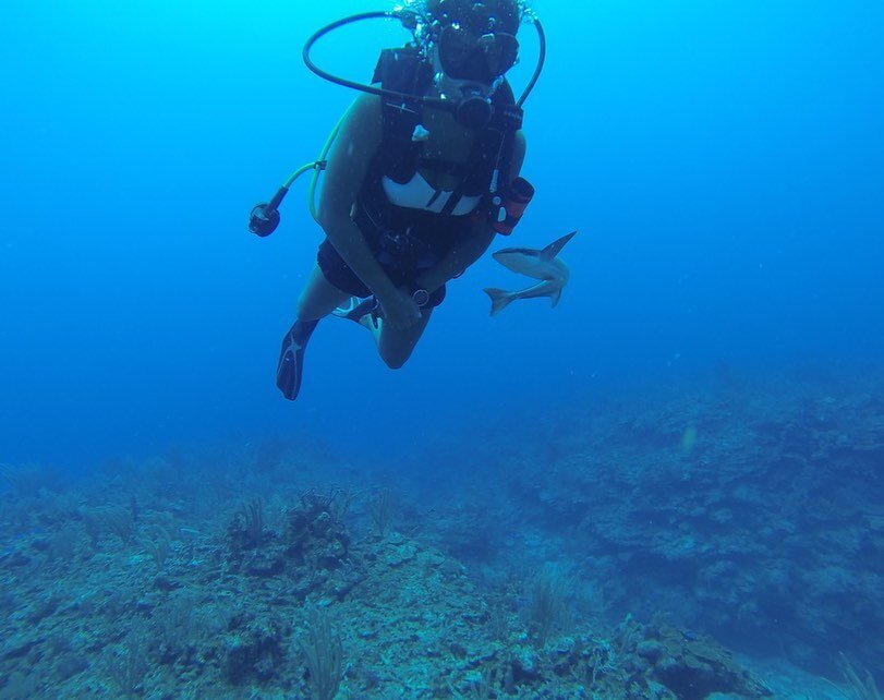 Meet incoming master's student Jenny Bueno, co-advised by Dr. Sarah Lester and Dr. Sandra Brooke.
⠀⠀⠀⠀⠀⠀⠀⠀⠀
⠀⠀⠀⠀⠀⠀⠀⠀⠀
Jenny is interested in marine #conservation &amp; #restoration. She will be involved in the Apalachicola Bay System Initiative, rese