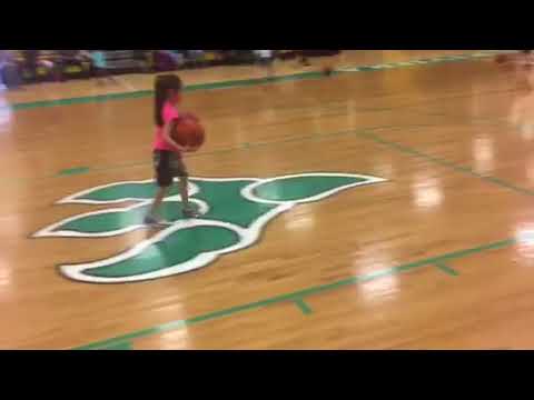 Brick Hoopsters (1-13-18)
