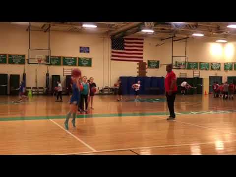 Carljordanpersonaltraining Brick Bitty Basketball