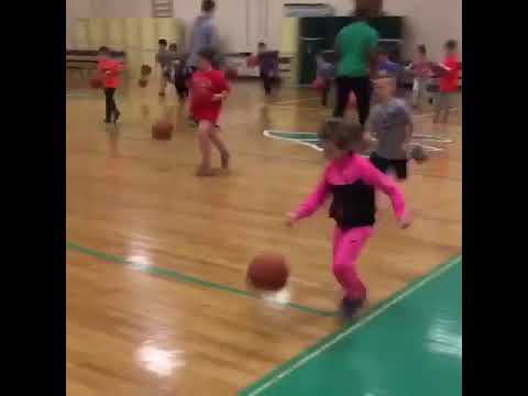Brick Lil Hoopsters