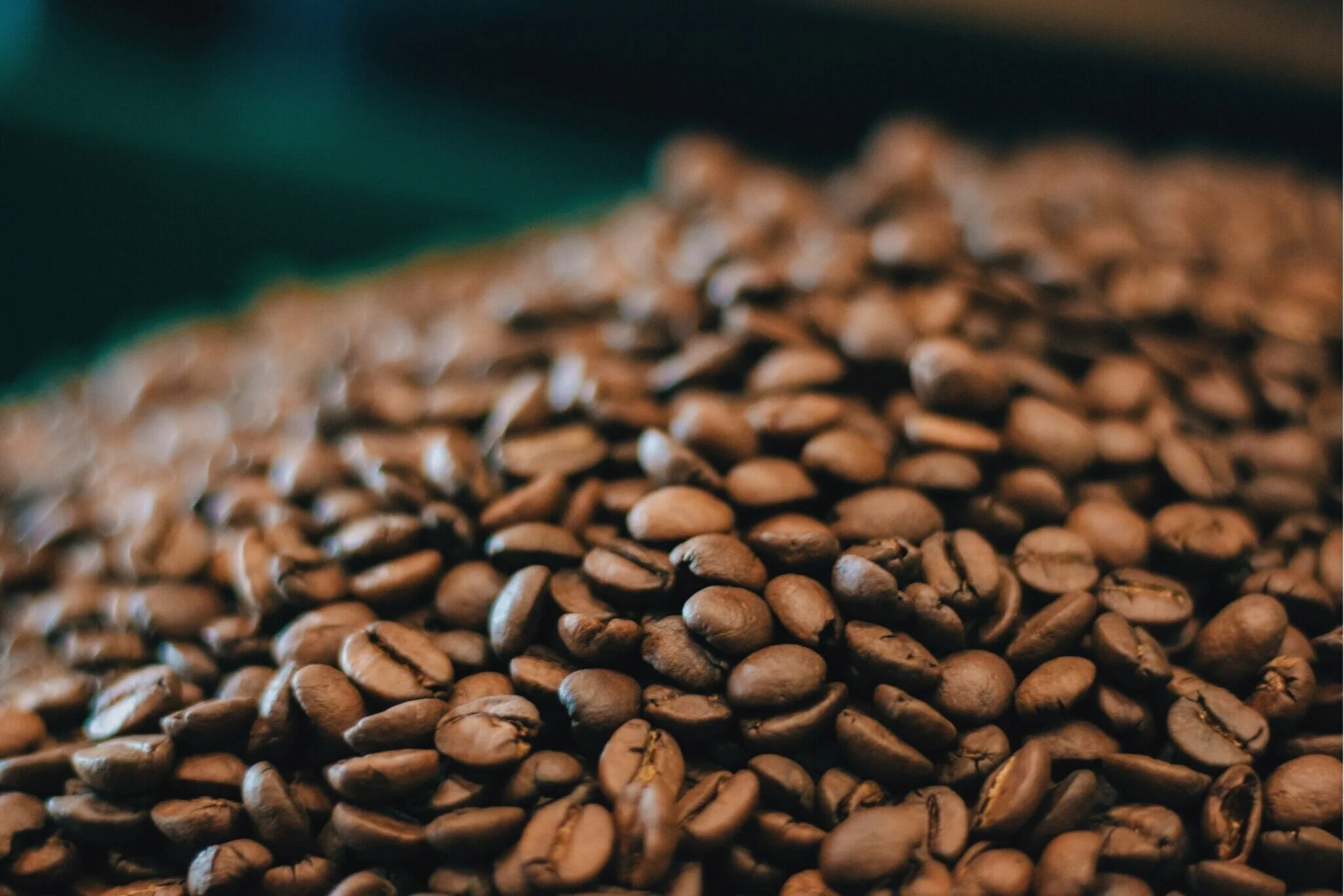 Crazy Mocha Coffee Company