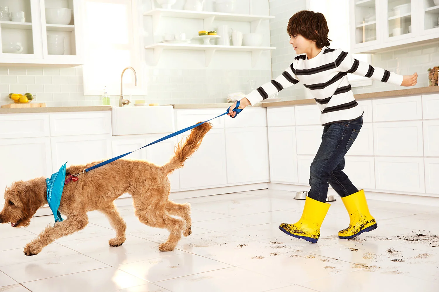 17_PKF13_SA_WhoLetTheDogsOut_471.jpg