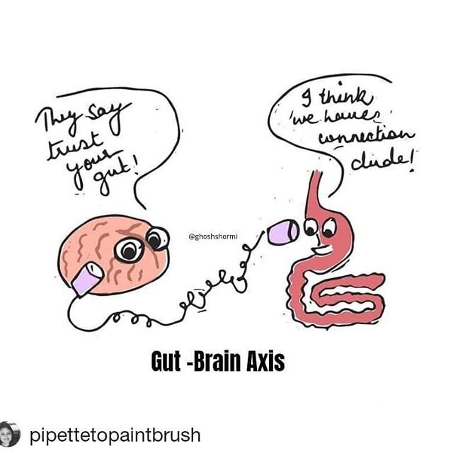 @pipettetopaintbrus
WHEN BRAIN AND GUT HAD A CONVERSATION : adapted from a paper publication. .
&bull;&bull;&bull;&bull;&bull;&bull;&bull;&bull;&bull;&bull;&bull;&bull;&bull;&bull;&bull;&bull;&bull;&bull;&bull;&bull;&bull;
The best thing I heard whil