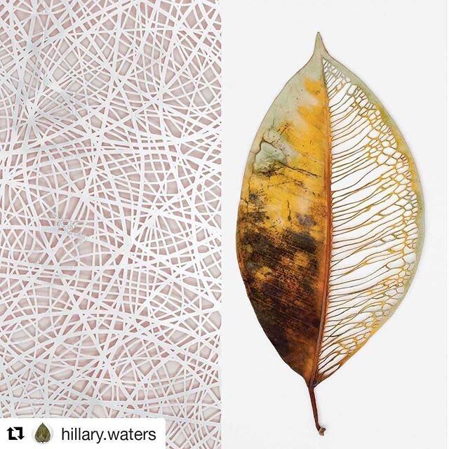 Art gives us opportunity to see the world differently and changes perspective to create things . Isn't it ? Write your thought below !
#Repost @hillary.waters (@get_repost)
・・・
.
.
.
.
.
.
.
.
.
.
.
#art #science #nature #artistofinstagram #sciencear