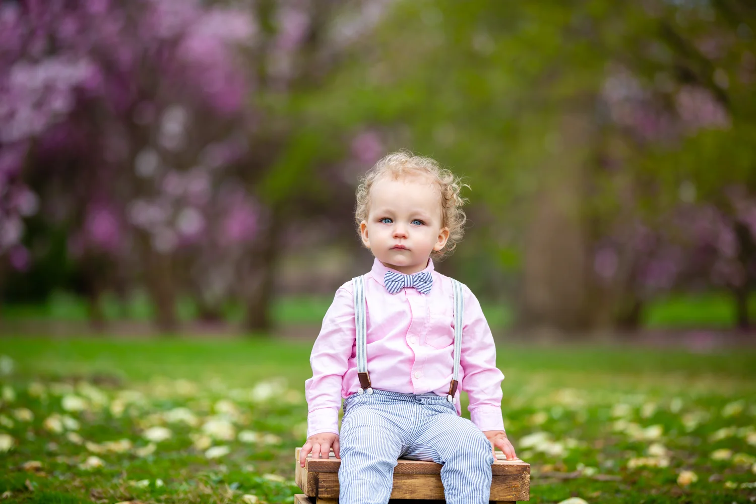 Columbus Family Photographer -3.jpg