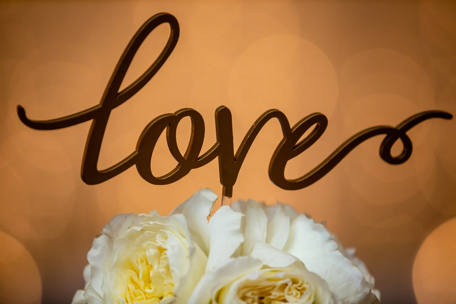Columbus Wedding photographer engagement-203.jpg