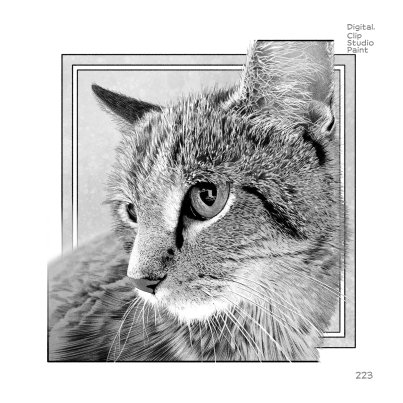 PORTRAITS_final_PG223.jpg