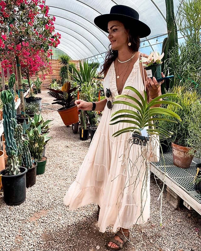 When in doubt ... add plants 🌱🌵🌾🌿
Finally got to walk through @hewitt_gc  and picked these babies!
.
👗 @lucayaclothingco Get 10% off with my code MCNOMAD at checkout 🌱
.
.
#musiccitynomad #mcnomad #plantsofinstagram #plantlady #plantbabies #van