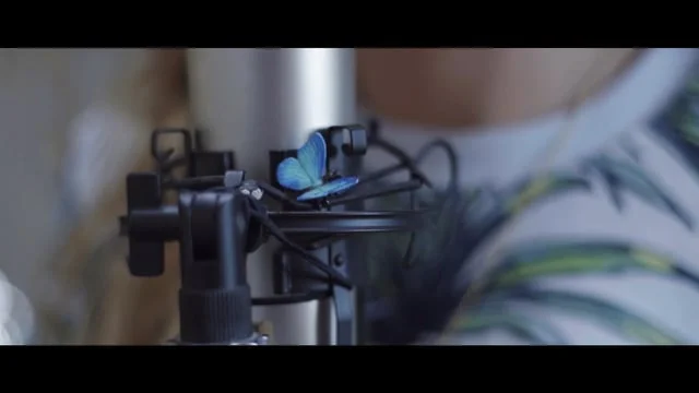 Anthony Duz 2017 Demo Reel