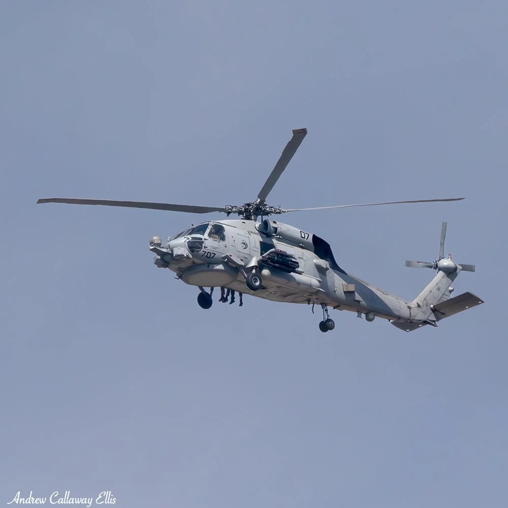 Marine Sea Stallion 