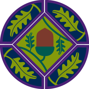 young-leader-module-a-badge-full-png.png