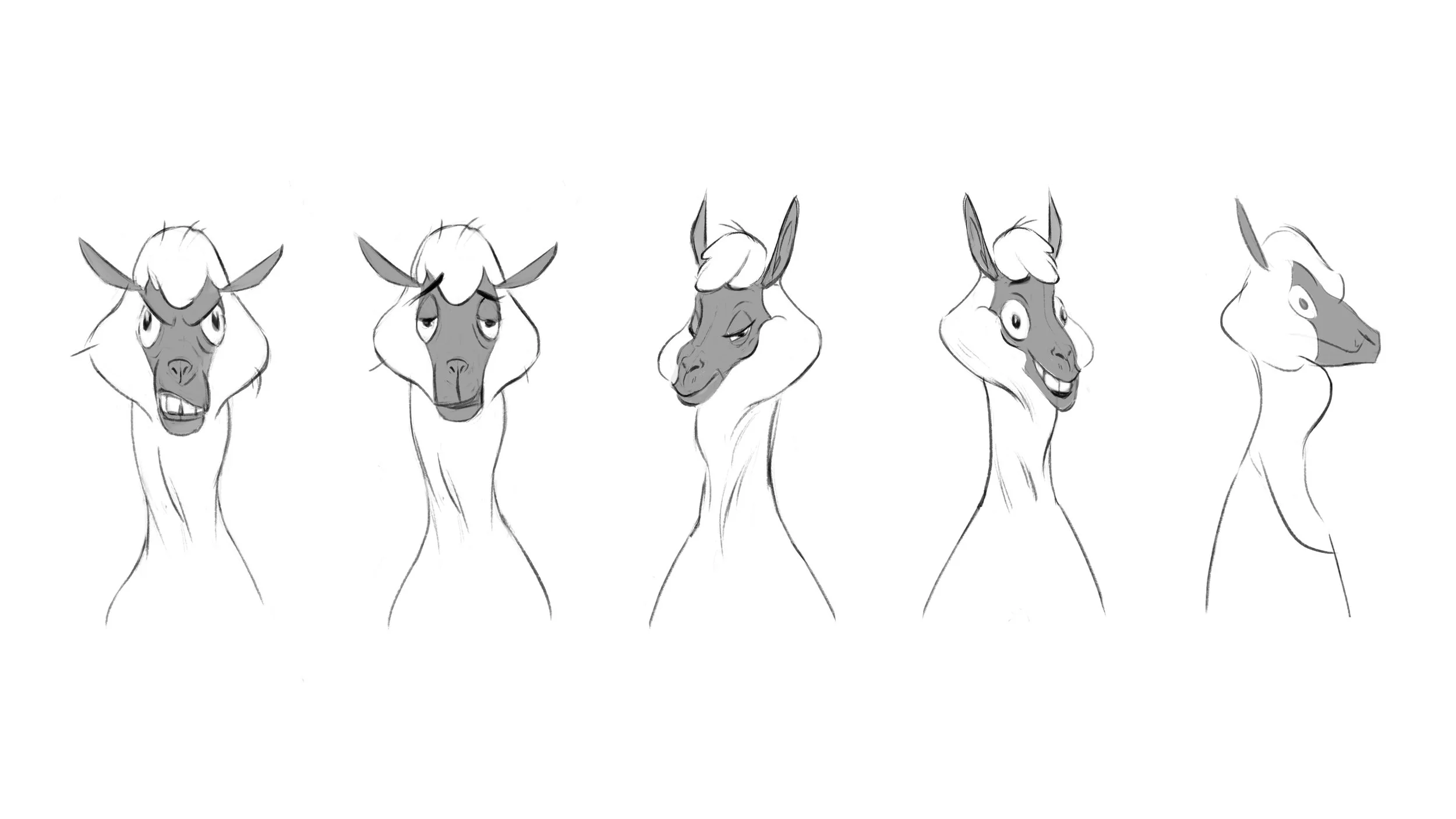 alphaca turn around copy.jpg