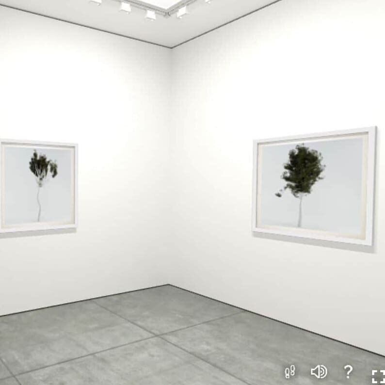 Checkout my online viewing room. 
It's very experimental. Please let me know what you think.

Link on my profile.
https://xgibson.com/viewing-room

Ghost Gums Are Algorithms by Alex Gibson

This series of ghost gum trees were created using computer a