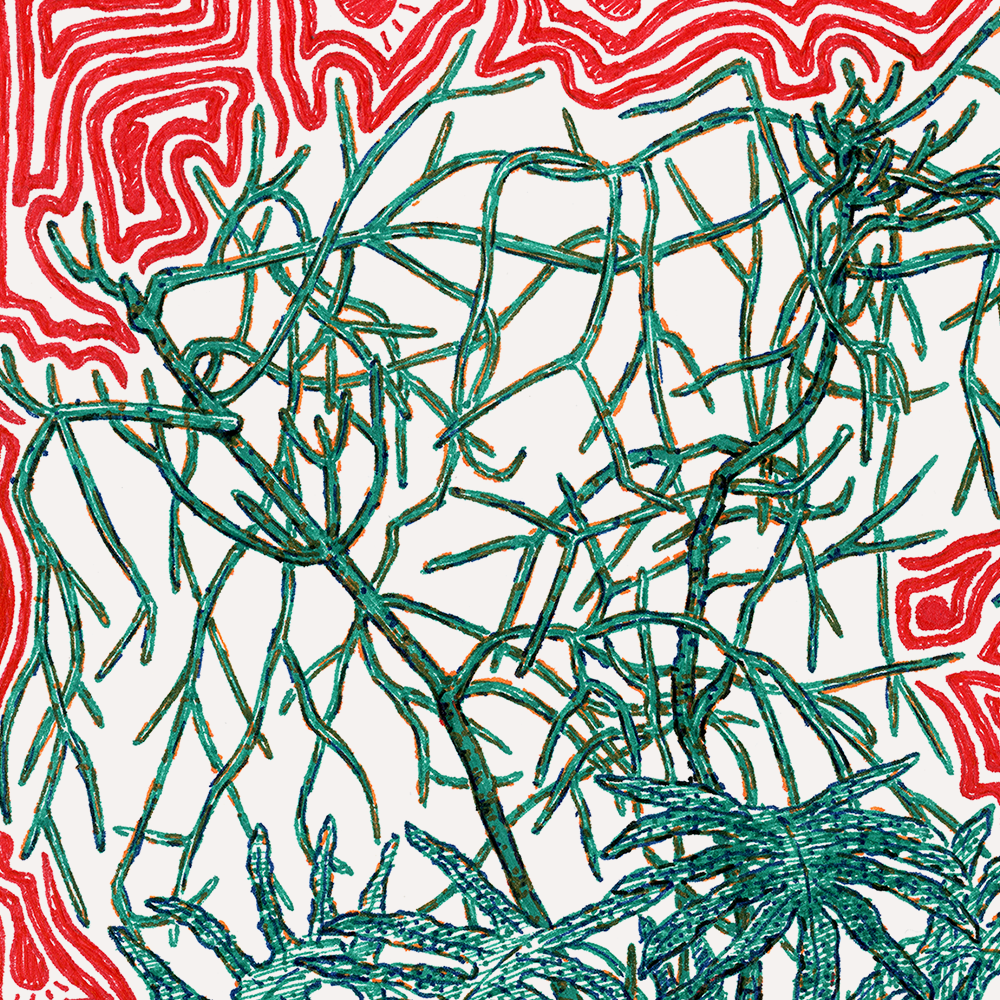 6th Frame Closeup 2.png