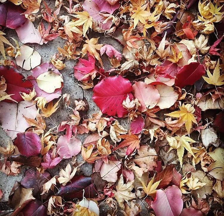 12 Tips To Balance Vata This Autumn