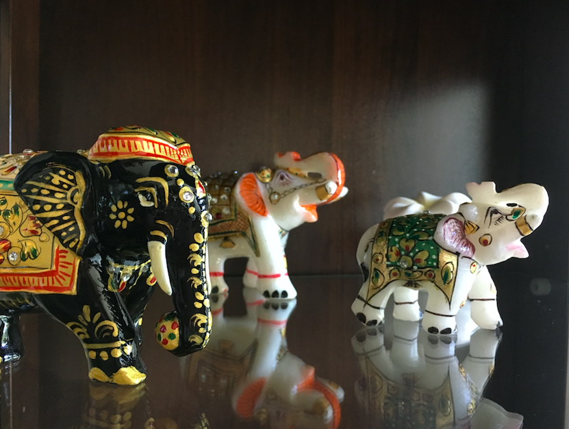 All photos by Ebba-Karina Sander and Narissa moeller.