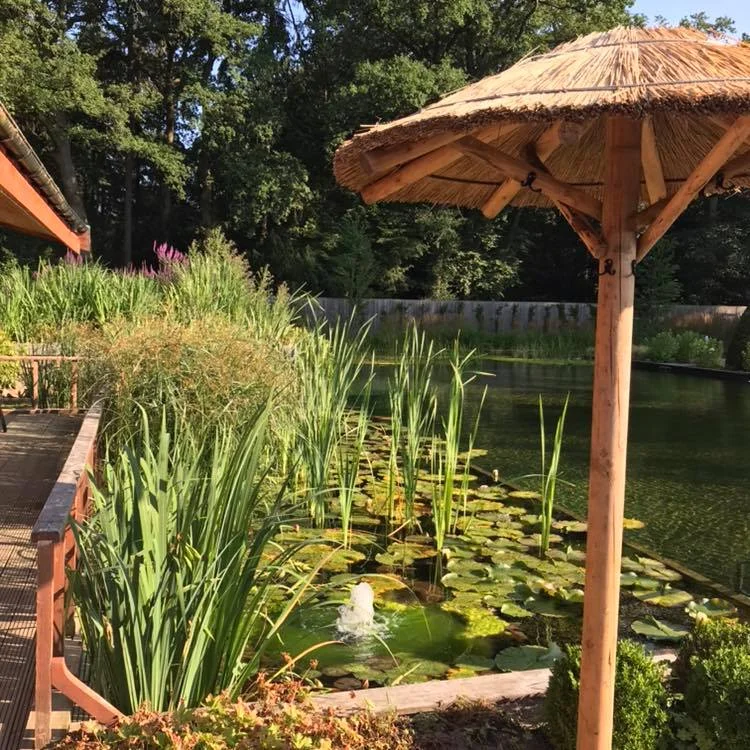 Naked in the Netherlands: A Day at Thermen Soesterberg