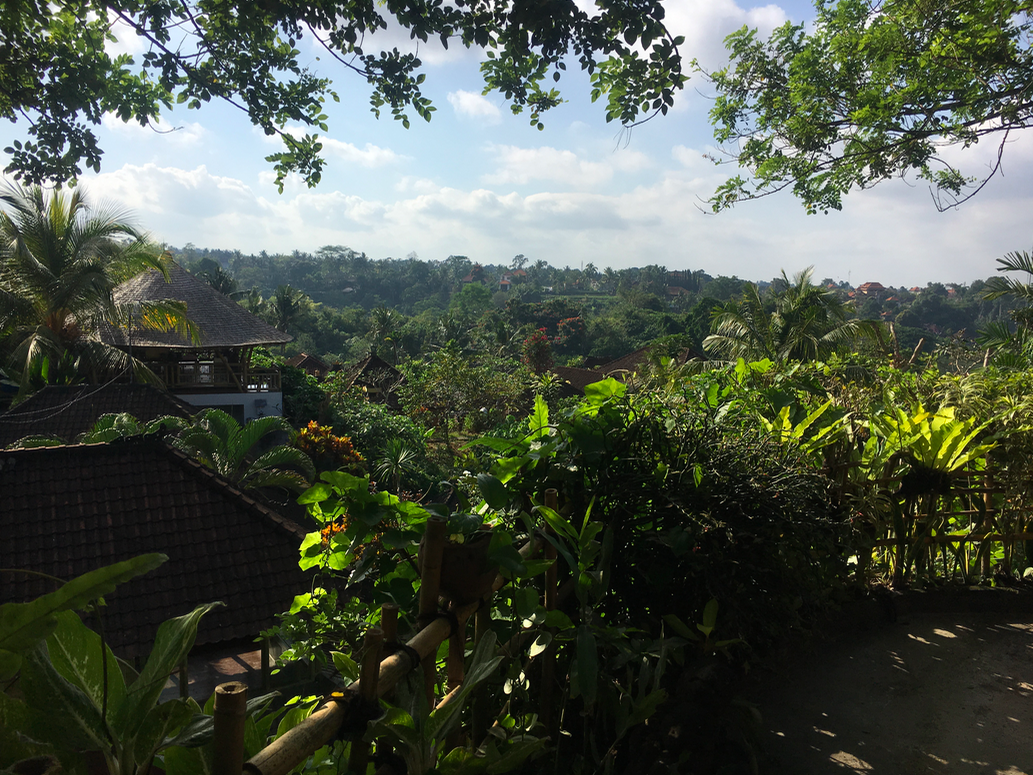 all photos by Narissa Moeller and the Shala, bali.