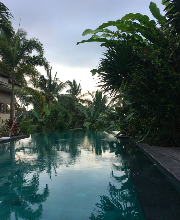 Screen Shot 2019-08-03 at 5.09.44 pm.png