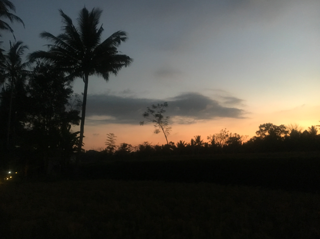 Screen Shot 2019-08-03 at 5.10.28 pm.png