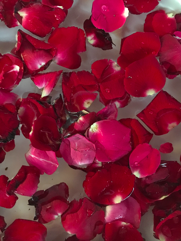 Screen Shot 2019-08-03 at 6.22.31 pm.png