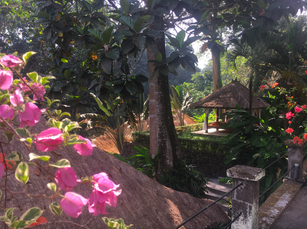 Screen Shot 2019-08-03 at 6.17.50 pm.png