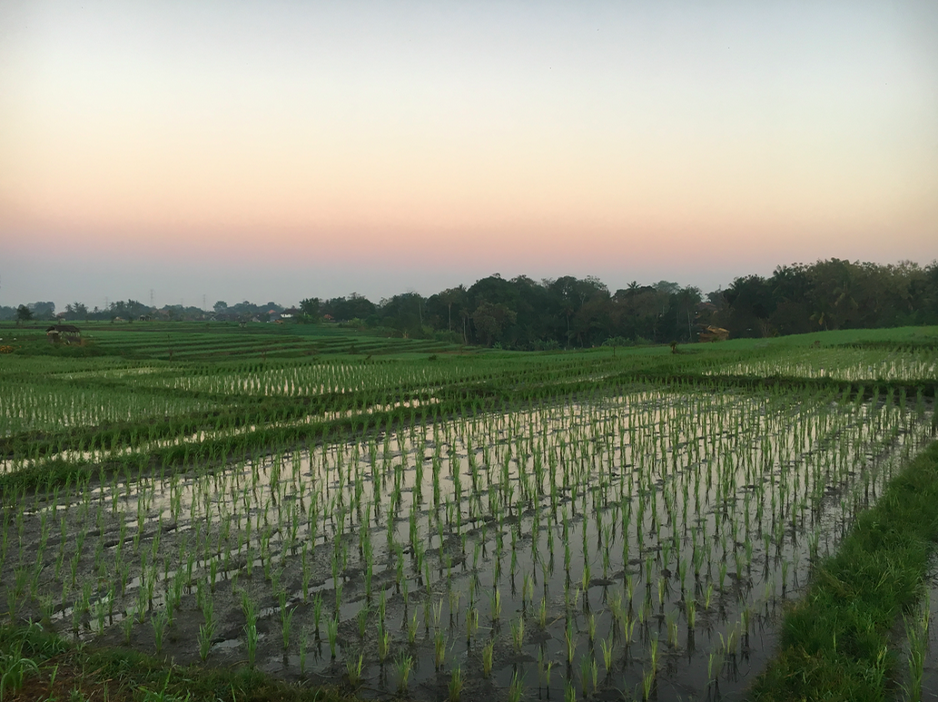 Screen Shot 2019-08-03 at 6.19.37 pm.png