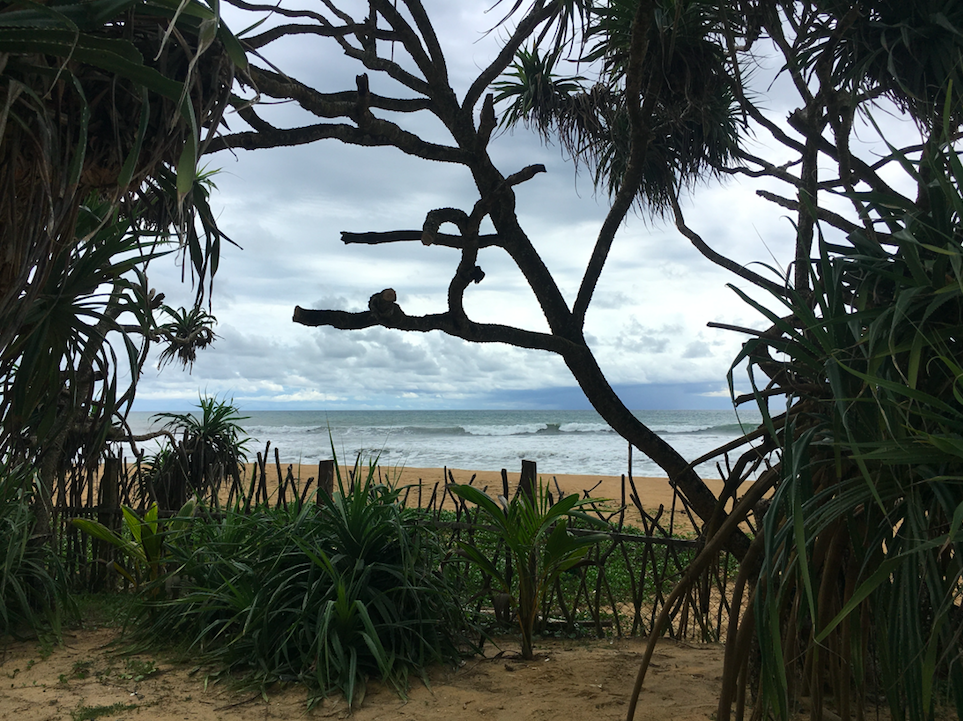 Travel Diary: Beachside Ayurveda at Siddhalepa Ayurveda, Sri Lanka
