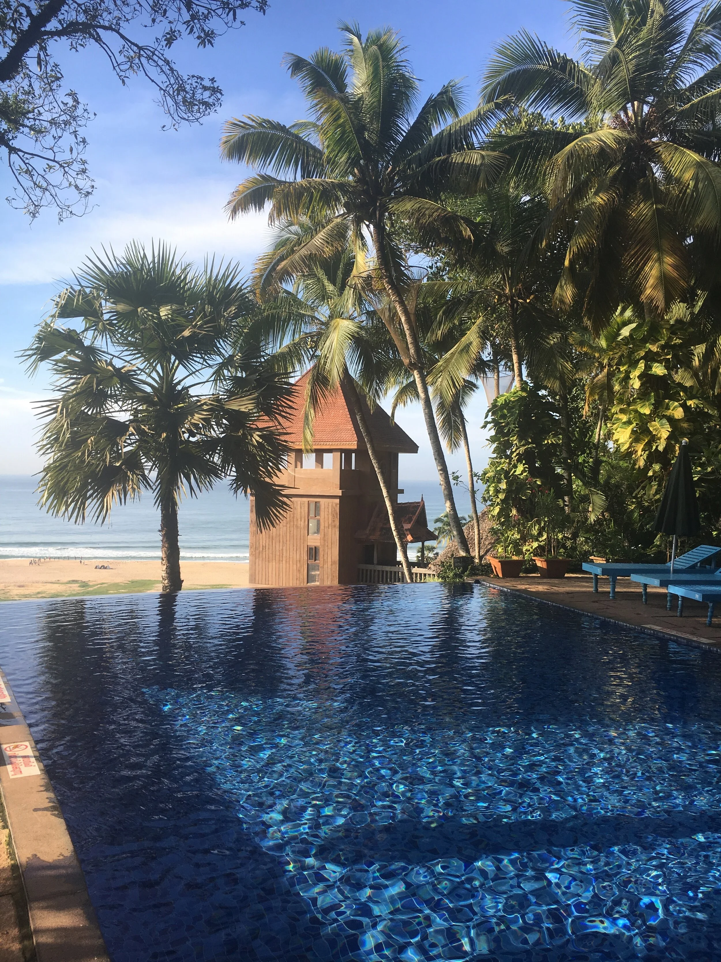 Travel Diary: A Hospital in a Resort Ambience at Somatheeram, Kerala, India