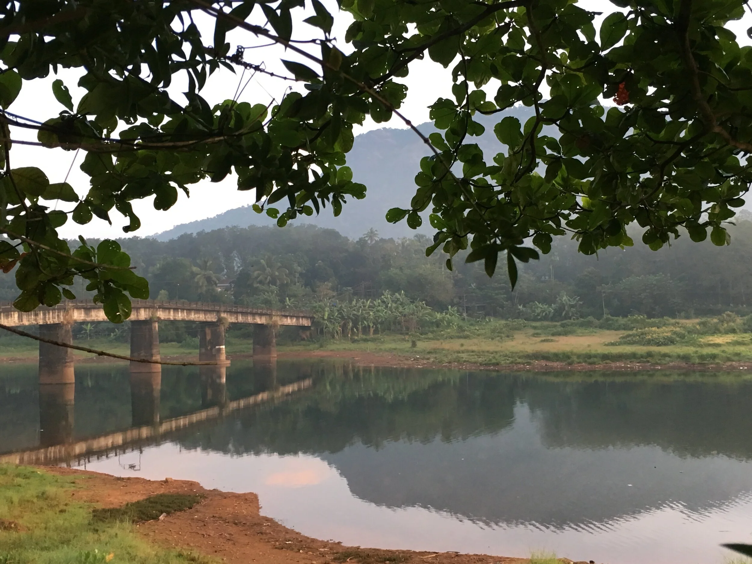 Travel Diary Part Two: Madukkakuzhy Ayurveda Lakes &amp; Mountains, Kerala, India