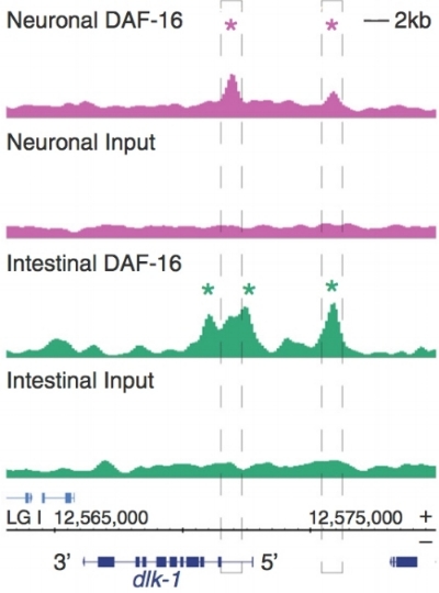 Image: Byrne et al. 2014